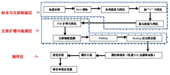 產前篩查與產前診斷流程.jpg