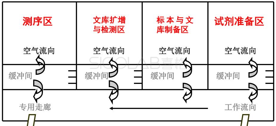 產(chǎn)前篩查與診斷設(shè)計(jì)方案SICOLAB